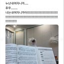 디팝 이미지