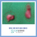 도촌 동물병원 이미지