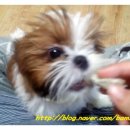 워니덴탈 이미지