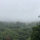 길목농장 이미지