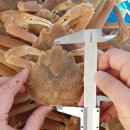 울진해양경찰서 이미지