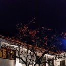 홍시식당 이미지