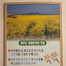큰집제주생고기