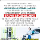 (주)세진렌트카 이미지