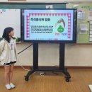 옥길버들초 이미지