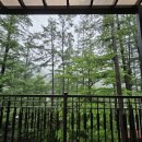 옥전자연휴양림 이미지