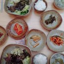 홍화약초식당 | 허영만의 백반기행 산청 밥상 약초전 산채비빔밥 홍화약초식당 식객 241회