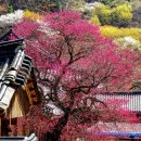 문화관광단지(서) 이미지