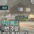 에이치디씨신라면세점 주식회사 | 부산人의 삿포로 생존기 [0일차 / 비행기, 숙소, 비에이투어예약, 여행자보험, 면세점, 비용정리]