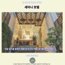 세아 세탁 | 나짱 세아나 호텔 후기 가성비 갑 인생 숙소 추천
