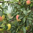 반월농장 이미지