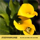 달성군종합사회복지관 | [달성군종합사회복지관] 친환경 EM아로마 실용 실전