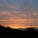 황혼농장 이미지