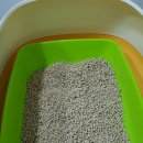 (주)산시아코리아 | (주) 산시아 코리아 )토이걸 히노끼 그린 티 고양이 화징실용 모래 이벤트 당첨후기