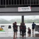 동해닭갈비 이미지