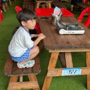 장흥계곡집 | 송추계곡 장흥유원지의 장흥계곡맛집 장흥계곡집 _ 솔직후기