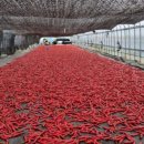 스마트농원 이미지