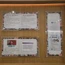 PAI | 관저동 [올리벳심리상담센터] - 성인 TCI + PAI 검사후기ㅣ내 기질과 성격 알아보기ㅣ대전심리상담센터