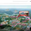 오토갤러리 이미지