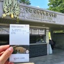 국내 유적지 여행Ⅰ공주 가볼만한곳· 유네스코 세계유산 무령왕릉과 왕릉원 백제 역사탐방기