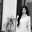 아사 카카오 검색결과