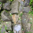 와룡자연휴양림 이미지