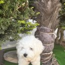 올포유펜션 이미지