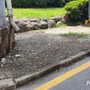 동운고가 이미지