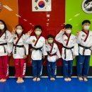 경희대MTA태권도 이미지