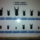 인천훈증
