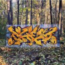 체스(CHES) 이미지