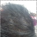 부평시장점 이미지