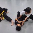 SSMA 상승합기도 특공무술 이미지