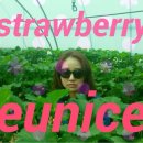 정예농장 이미지