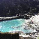 포인트팜 이미지