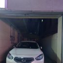 옻나무집 | 쌍촌동 닭집 "계색기" 맛있는 옻닭백숙과 겉바속촉 감자전, 겨울철 몸보신에 최고 (솔직후기)