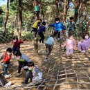 조치원신봉초등학교 이미지