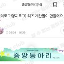 치즈로그