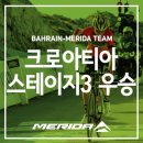 스테이지3 이미지