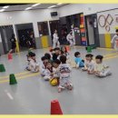 용인대대영태권도 이미지