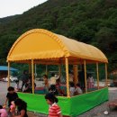 숲이조아