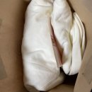 여주-0119 | 1월 일상(2)