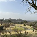 태인컨트리클럽 이미지