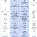 레이나 산후조리원 이미지