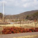 초막골생태공원 이미지