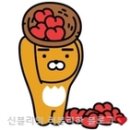 휴크래프트 이미지