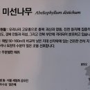 달성습지생태학습관 네이버블로그