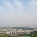 2021-주165 이미지