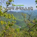 내장산국립공원화장실(제1주차장) | [전북 산행 추천] 내장산 등산코스 완전 정복! 케이블카 타는 법까지 총정리