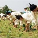 한국품앗이클럽